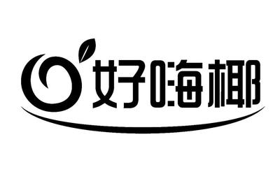 海南省匯發椰食品科技股份