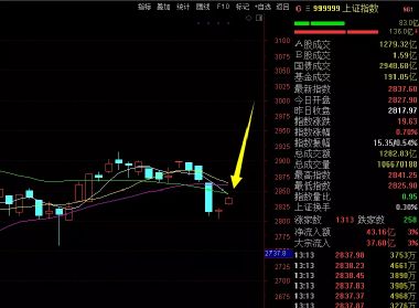安記食品股吧,603696股吧 贏家聊吧