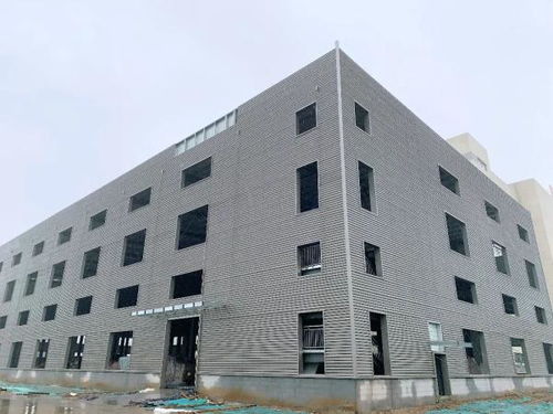 以河為媒 天津推進 十項行動 創造高品質生活